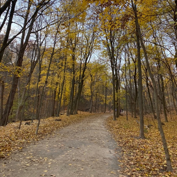 Meet your Posher, Nora - Picture 1 of 1